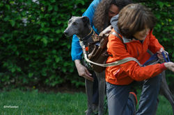 343302874_925775918730767_3530752972728041311_n