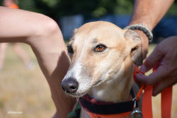 292557774_414594294031957_8762008555234016093_n