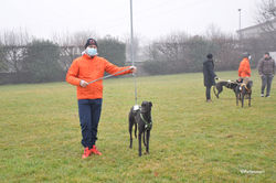 146969458_3725367504213744_6669072556029551611_o