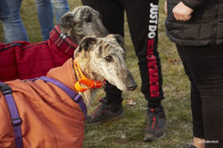 144429345_3708569965893498_9112448531816993216_o