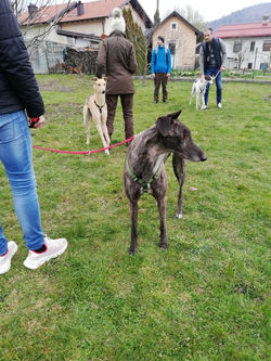 165596631_298182451804285_4879272355728998596_n