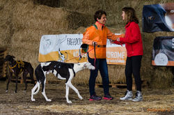 60666391_2251645448252631_10176567494794