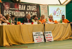 14446209_1127320327351821_2446046564361338978_n