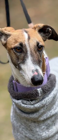 nutella_26 (Mittel).jpg