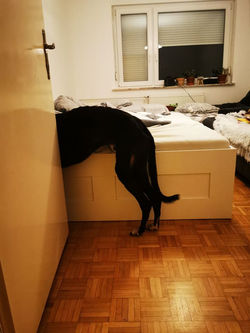 120851379_2904710833098646_7077113081528