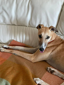 292030446_10166358113840055_367387132410902020_n