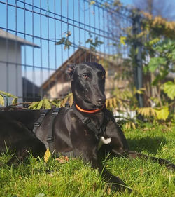 125525145_3359063730796107_4713029859617418312_n