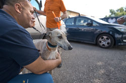 285609504_392208592937194_4943196851985879471_n