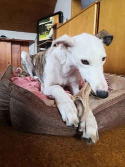 83163440_2484511688490291_1525726053174083584_n