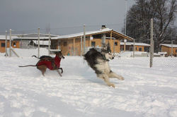 12469411_10205863261004004_464287084196521195_o