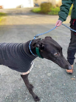 139322379_3665131873570641_8502128446262