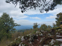 309854833_1256646395156999_8727323842786377768_n