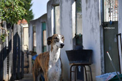 67574340_870212840017549_3609800625082073088_o