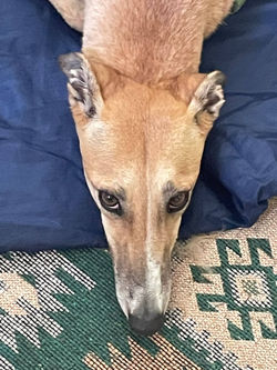 290820757_2469343769869382_3178981391114306203_n