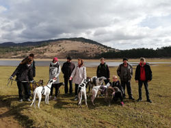 IMG_20190310_104653 (Medium)