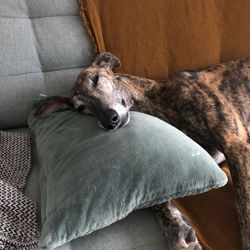 269327388_10226802504750865_5491632755221764223_n