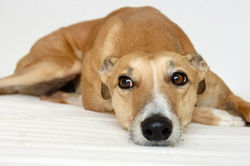 334902778_136594432404409_7864030221264513922_n