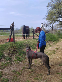 341436779_540483631593180_1673376798747582301_n