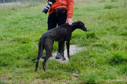 67162422_672852359855080_195869198247788