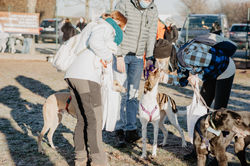 271943428_4765806643503153_4030645584684034636_n