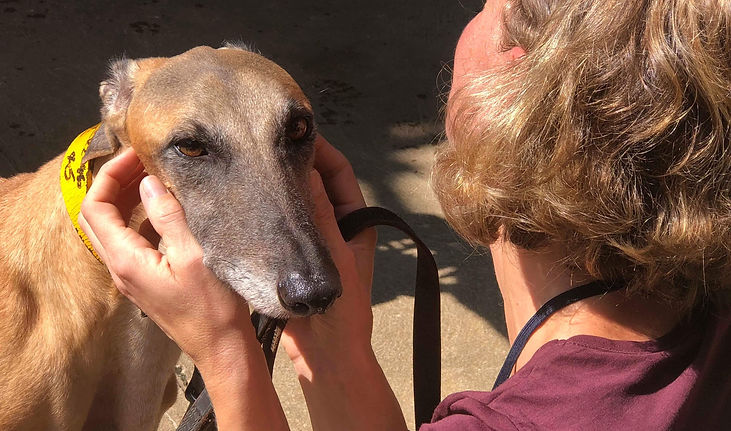 C06E9BEB-9CCE-45B5-8D94-AD7D5681B0F2.jpe