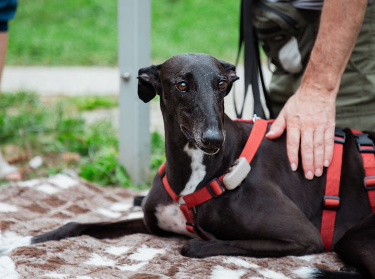 Postojna 2024 (1) (Mittel).jpg