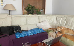 292551219_10166367229070055_2147197977574216526_n