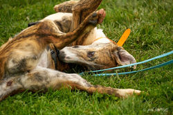 125490563_3511367675613729_7512408373888216005_o