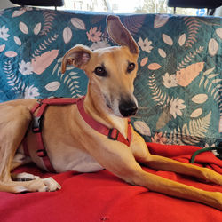 345311684_1179154279424941_124393147363322356_n