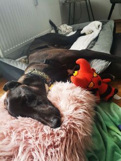 120895147_2904710843098645_4807554852129