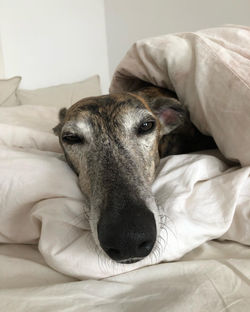 327153692_1572299476584719_4034289609733910586_n