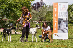 18556532_1373711466046038_8229732808990953533_o