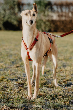 272070938_4765808600169624_1015063286753443687_n