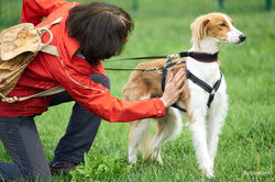 347613917_263161042879585_7703283737609932542_n