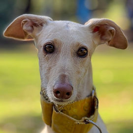 arena_12 (Mittel).jpg