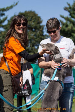 14440842_1127733247310529_8044235265324635948_n