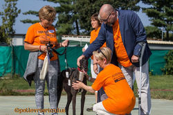 14485119_1127731990643988_6628620882562731231_n