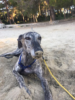 72349329_10220723890630917_4388753503250546688_n