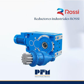 Reductores industriales ROSSI