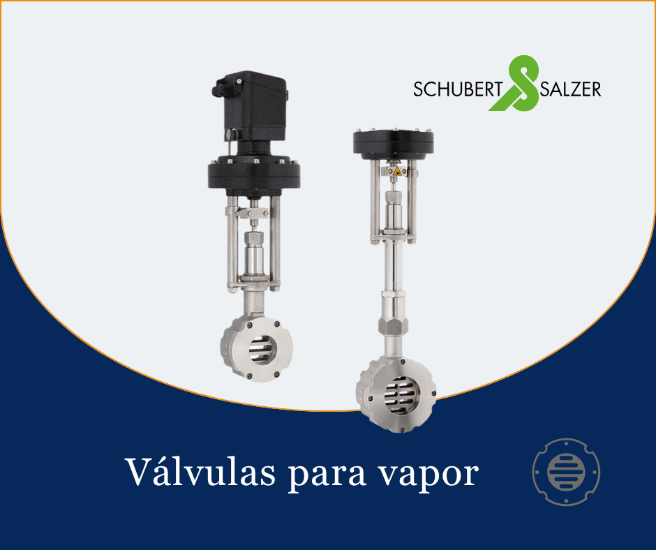 Valvulas para vapor