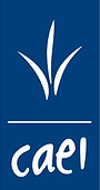 CAEI LOGO.png