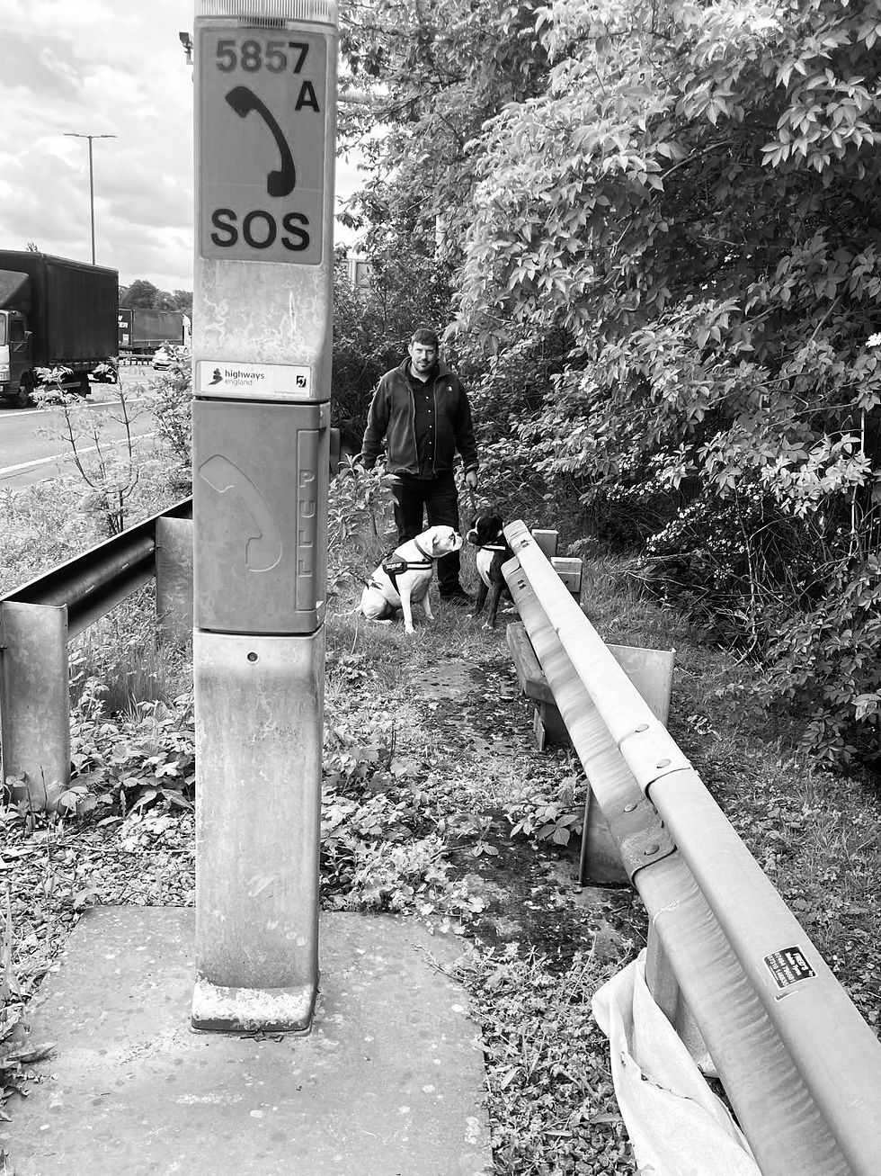 Charlie and Elsie sitting calmly beside Russ behind a motorway safety barrier while traffic passes nearby.