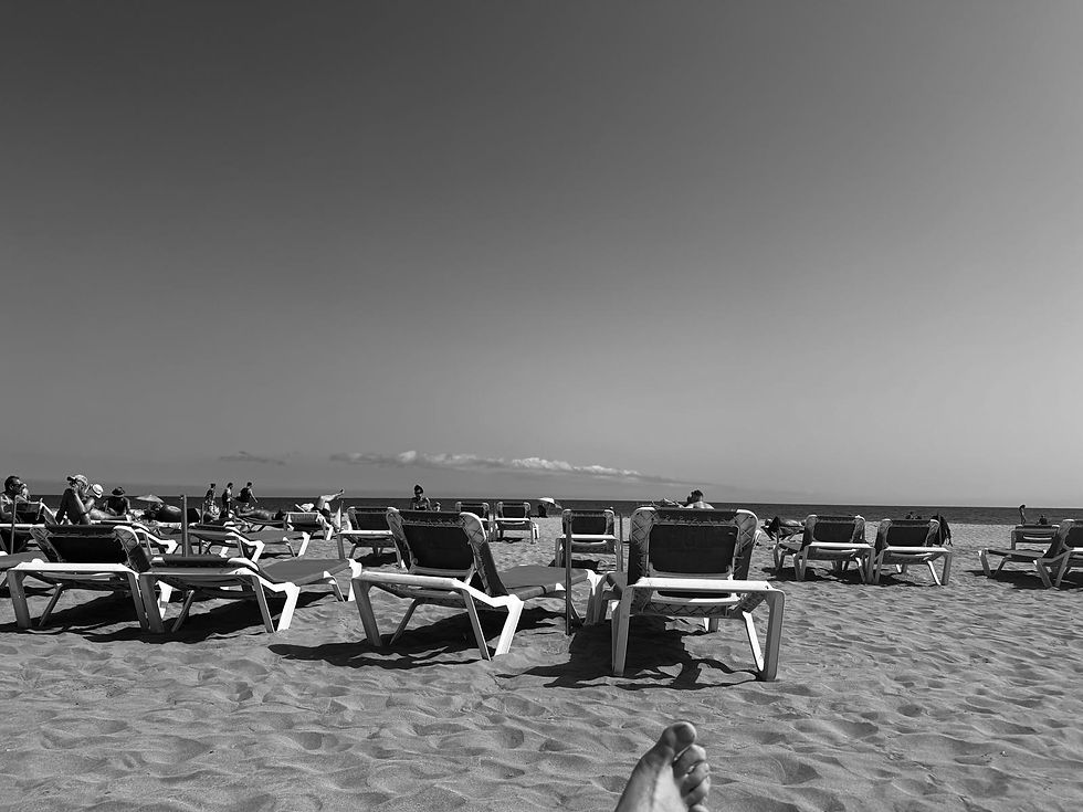 View from a sunlounger overlooking the sea while reflecting on Charlie and Elsie back home in kennels.