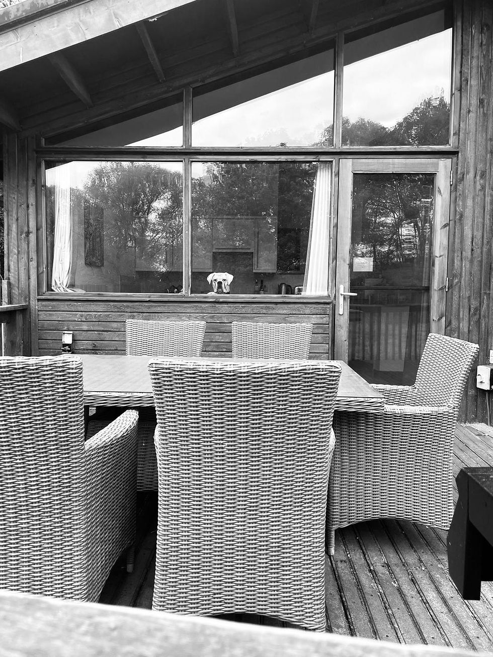 Elsie standing at the cabin window looking out across a Norfolk meadow during a woodland staycation.