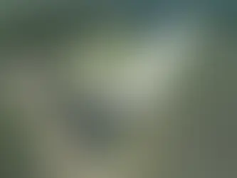 Sunsense Solar and the Ameresco/HCE Solar & Energy Storage Project