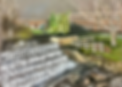 IMG_1117.jpeg