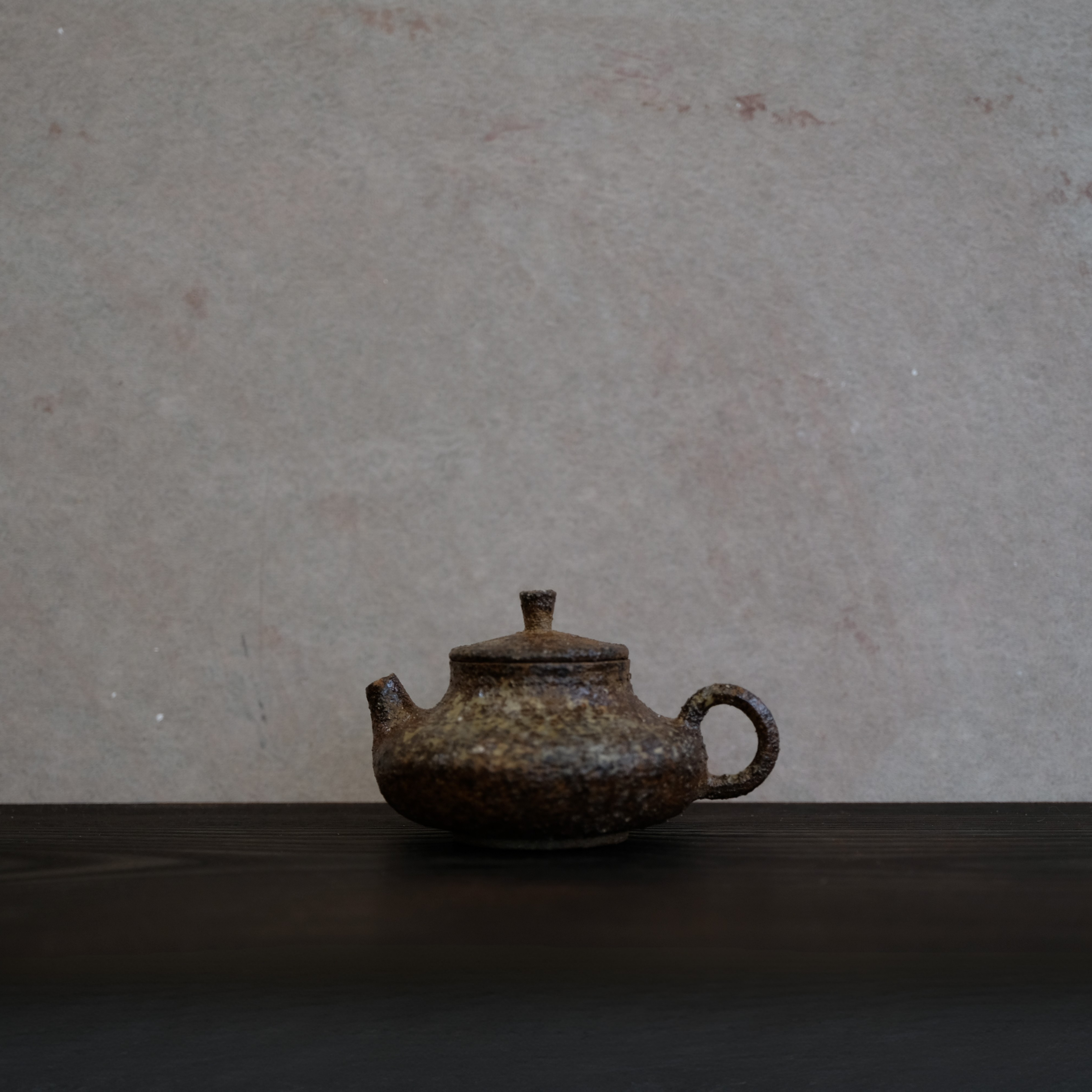 Chaozhou Teapot IV - Wild Clay