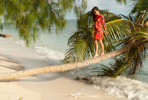 Woman on tree shutterstock 705392473-huge_edited_edited.jpg