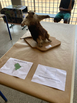 WhatsApp Image 2021-09-30 at 13.10.40.jpeg