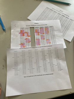 WhatsApp Image 2021-12-10 at 08.11.35.jpeg